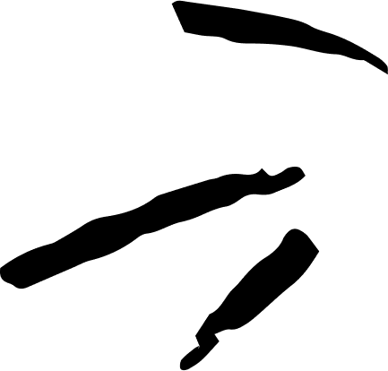 SS Logo