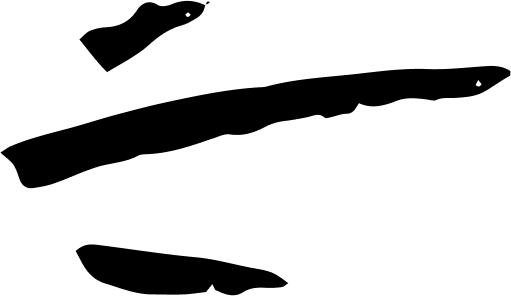 SS Logo